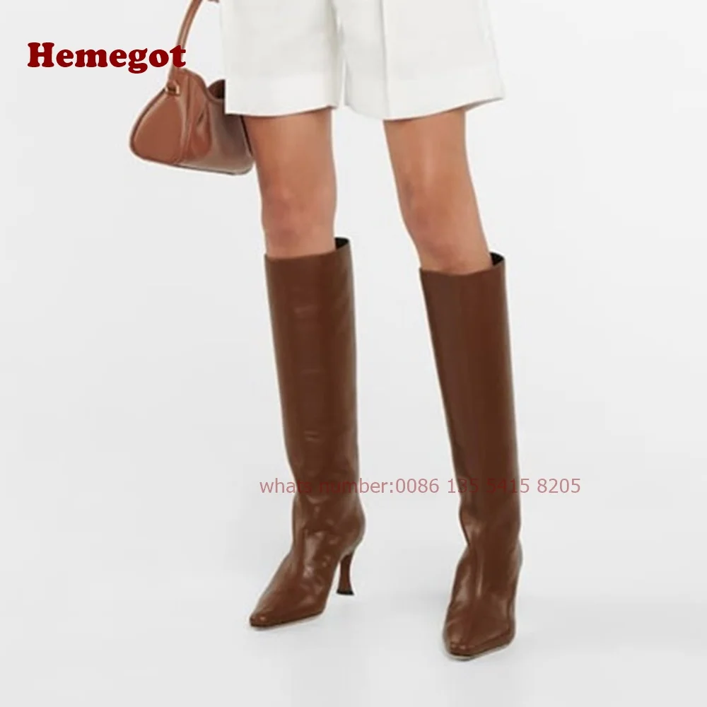 Burgundy Kitten Heels Knee High Boots Pointed Toe Genuine Leather Slip On Women's Boots Casual Winter Warm Runway Shoes Big Size