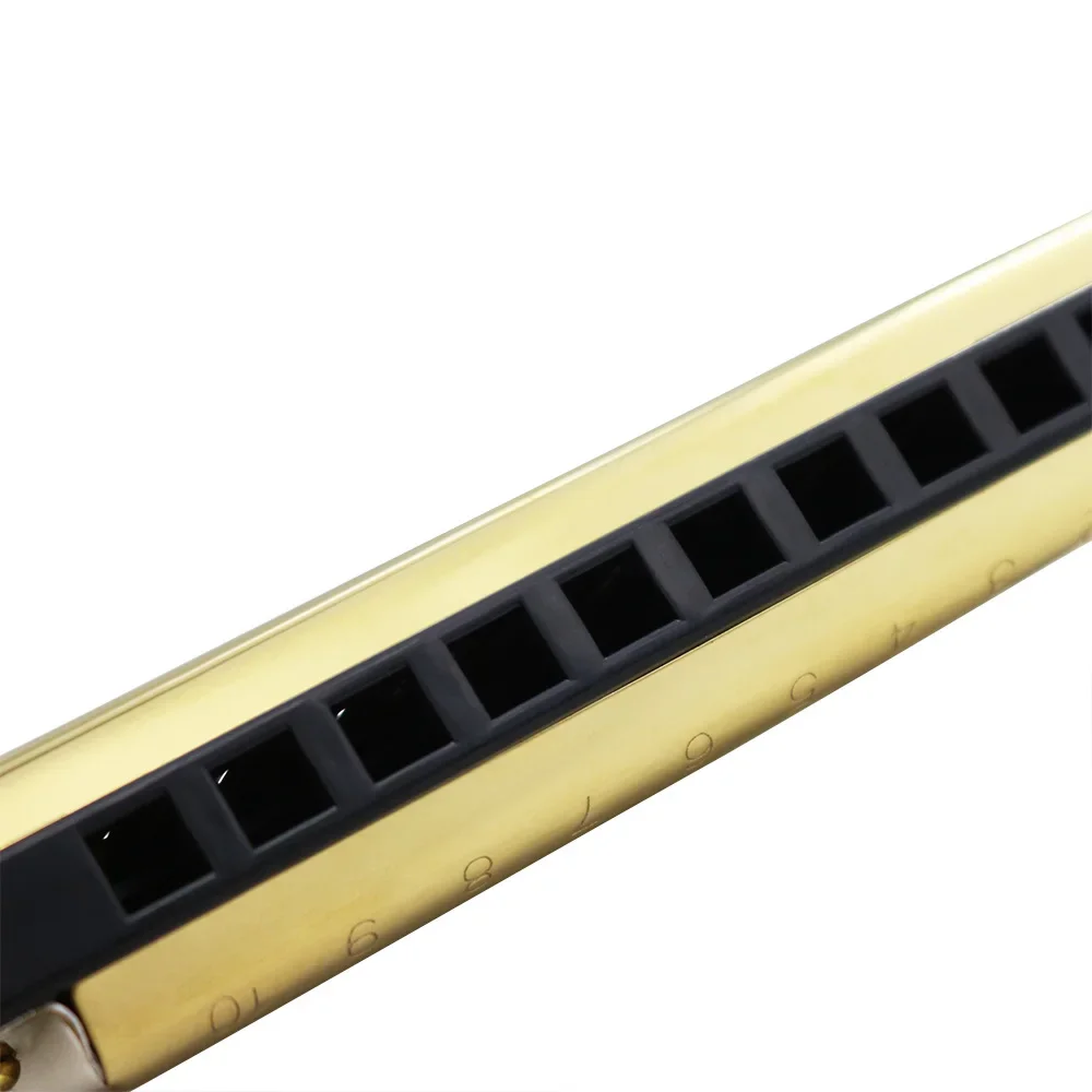 IRIN Harmonica 10 Hole 20 Tones Harmonica Mouth Organ Music Enthusiasts Woodwind Instrument Professional Harmonica - view 6