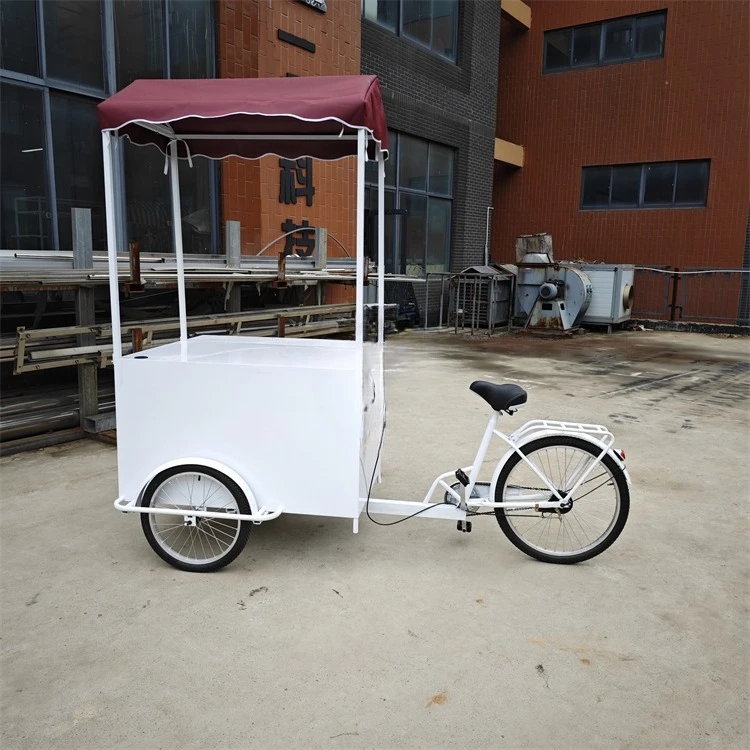 Mobile Electric Cargo Bicycle Trailer 3 Wheel Tricycle with Front Basket