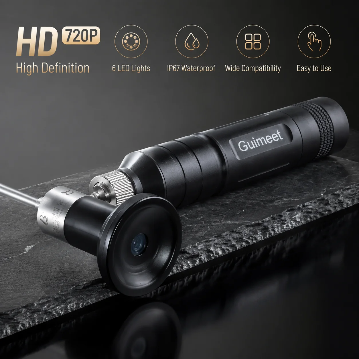 10W Portable High Brightness Adjustable LED, Handheld Endoscope, Cold Light Flashlight, Vet Ear, Nose and Throat Inspection