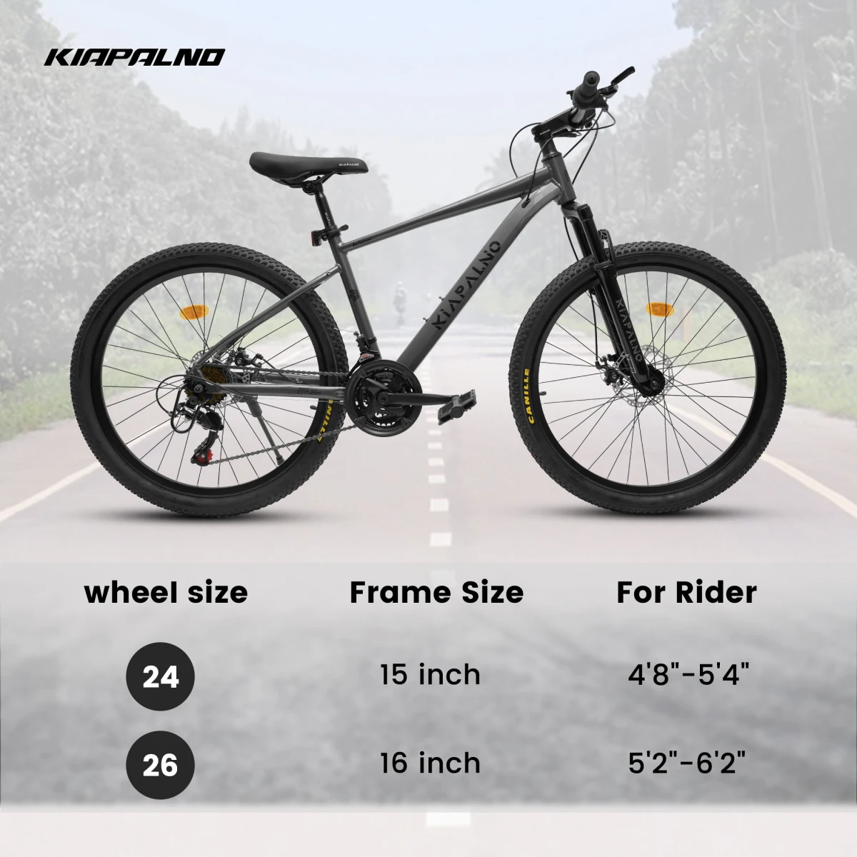A26472B ECARPAT 21速マウンテンバイク、24 - Commuting On Road Bike のレビューと価格