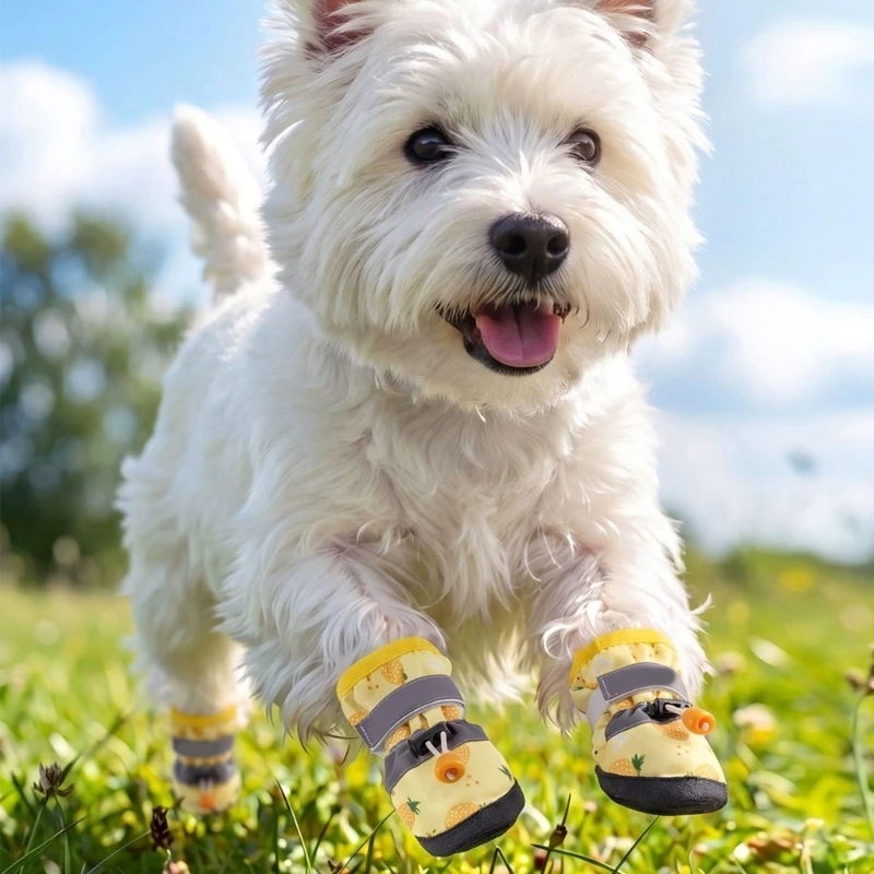 4-Piece Dog Shoes with Soft Bottom Comfort for Regular Summer Park Walks 3XUF