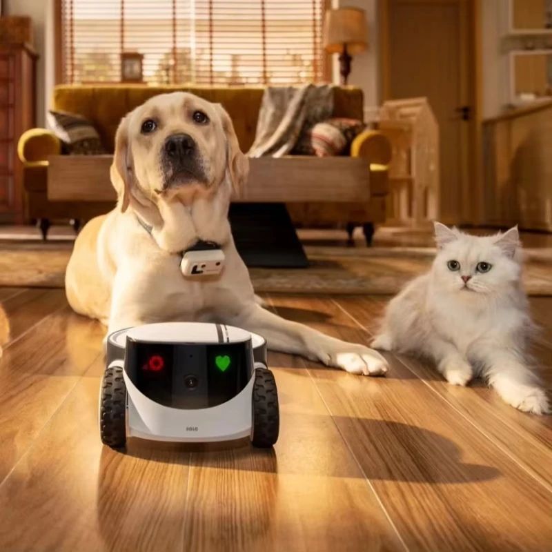 

Robot significant other for intelligent pet interaction, intelligent AI pet robot with 25K camera dispenser