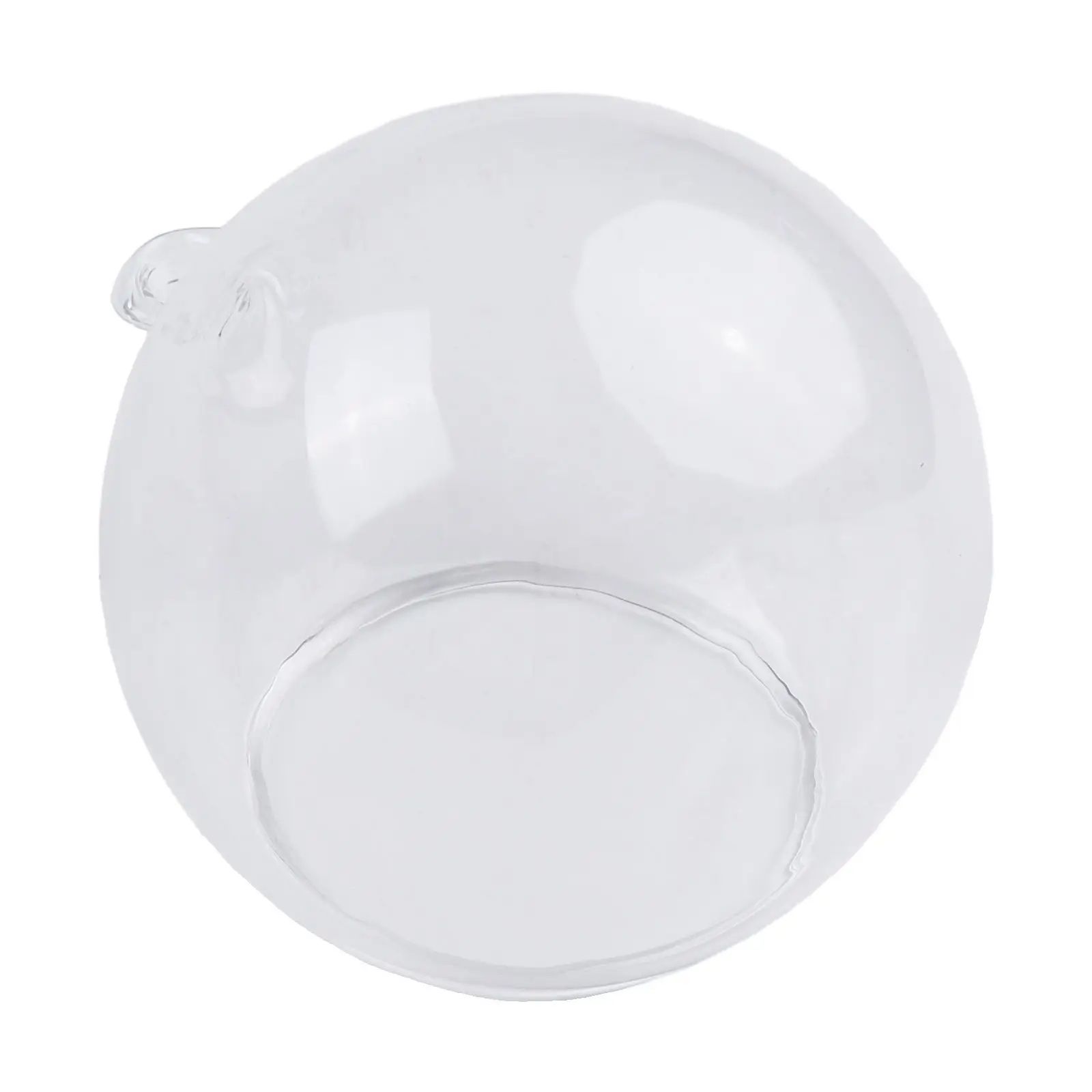 Clear Glass Hanging Ball Vase for Terrarium Projects Small Plant Housing and Decorative Lighting in Home Office Spaces