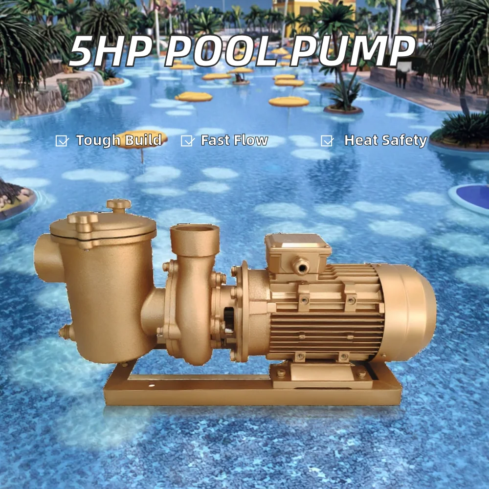 Electric 5hp 380v Copper Swimming Pool Water Pump With Brass Filter Heat Pump For Pool Use