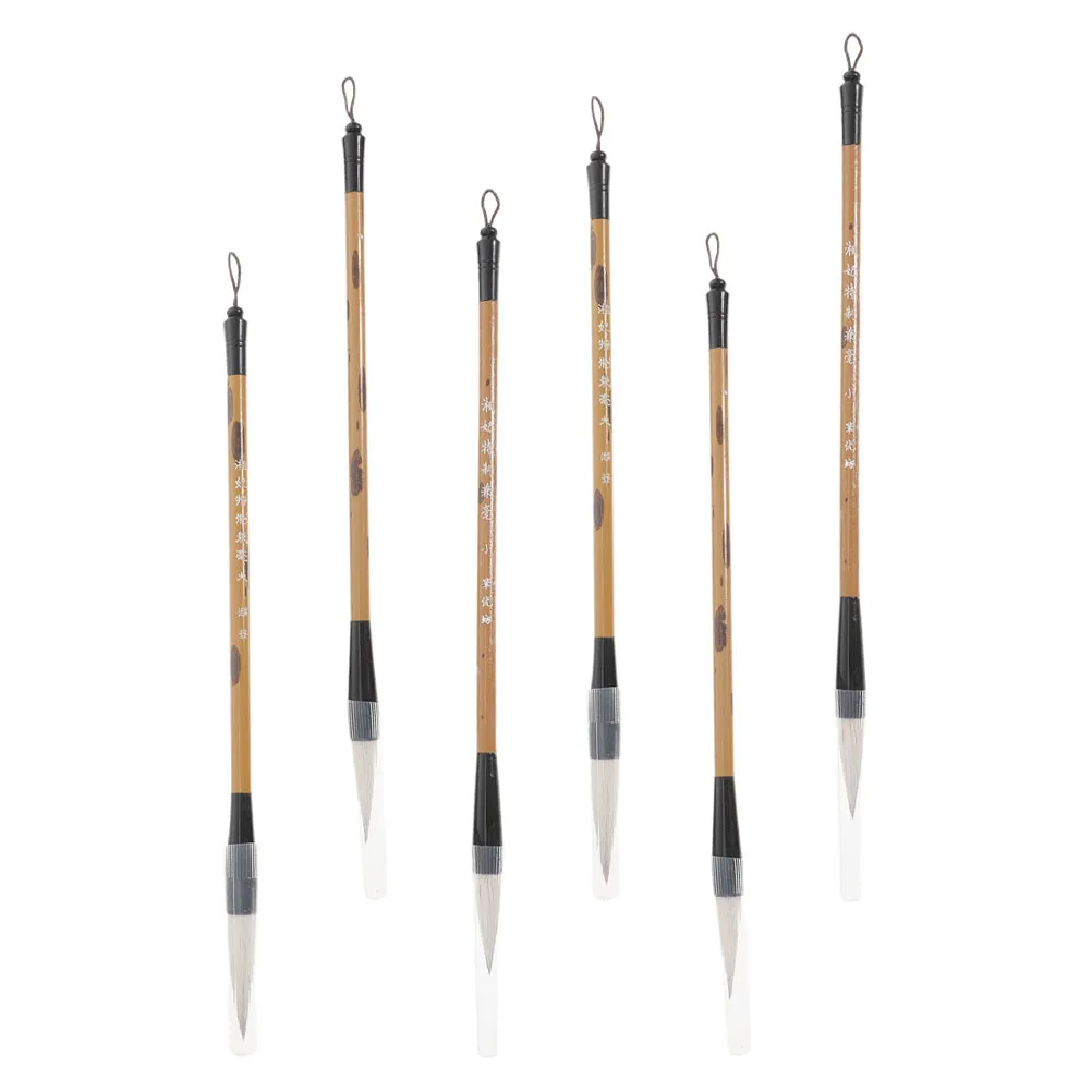 6Pcs Chinese Calligraphy Brush Multi-Function Painting Brush Practice Tool Writing Supplies for Beginners Students Professionals