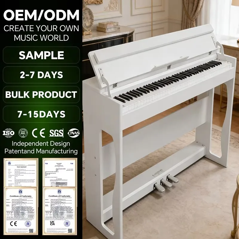 

Professional Weighted Keyboard Piano Digital Studio Musical Instrument Digital Piano