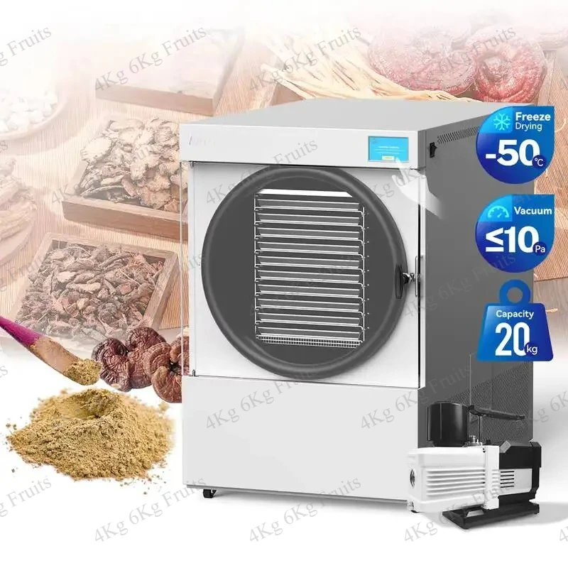 Vegetables Meats Compact Home Vacuum Freeze Drying Lyophilizer Liofilizador Machine with Digital Control