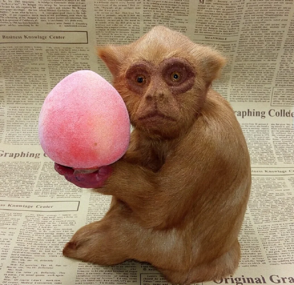Lifelike Simulation Monkey Toy Handicraft Cute Doll Holding Peach Gift Approx. 15x10x21 Cm Size for Home Decor & Collectibles