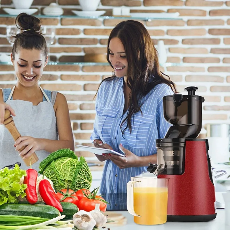 

220V Automatic Juice Extractor Home Slag Separation Ginger Fruit Vegetable Juice Extractor Multifunctional Fruit Slow Juicer