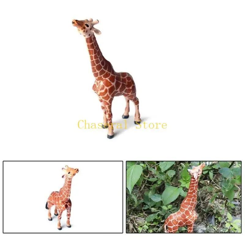 E7CE Wildlife Animal Model Figuras Realista Toy Creature for Kids and Collectors Presente coleção decorativa brinquedo