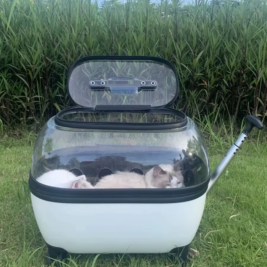 Haustier Trolley Katze Tasche Tragbare Katze Tasche Für Ausgehen Doppel Katze Haustier Kinderwagen Transparent Koffer Mit Großen Raum