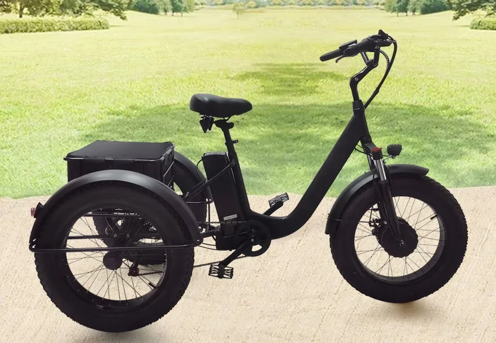 

factory direct sales 20 Inch Electric Trike 750W