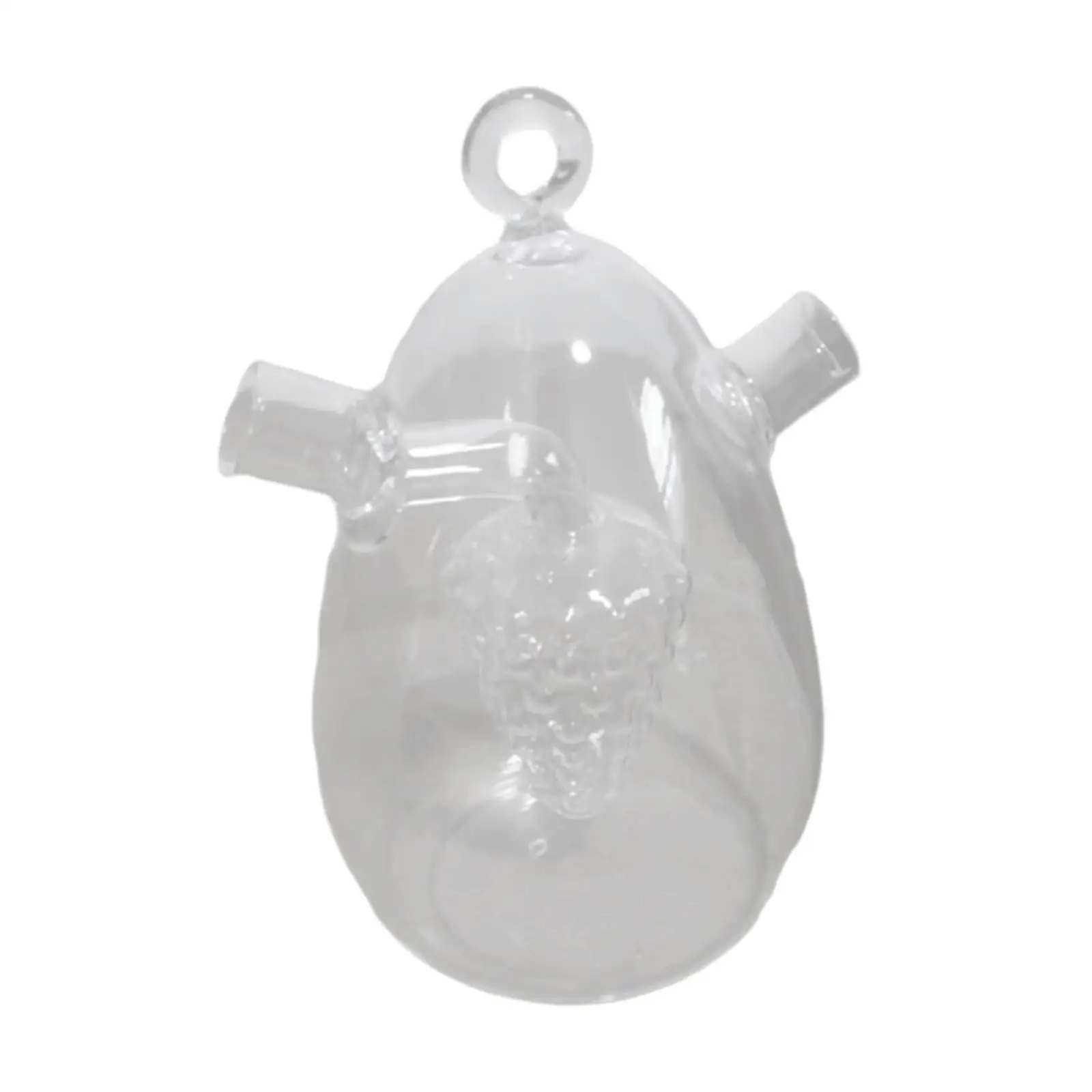 Olive Oil and Vinegar Dispenser Clear Cruet Dispenser for Cooking Kitchen