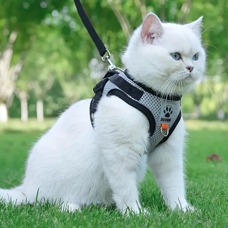 Adjustable Reflective Breathable Cat/Puppy Vests Anti-Escape Pet Leash Straps for Cats And Puppies Suitable for Going out