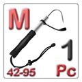 2  M