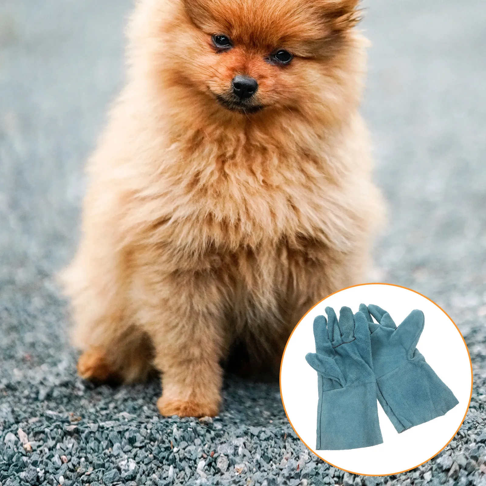 1Pair Pet Protective Gloves Cowhide Anti-Bite Training Gloves Thickened Palm Finger Design for Bite Proof Comfort