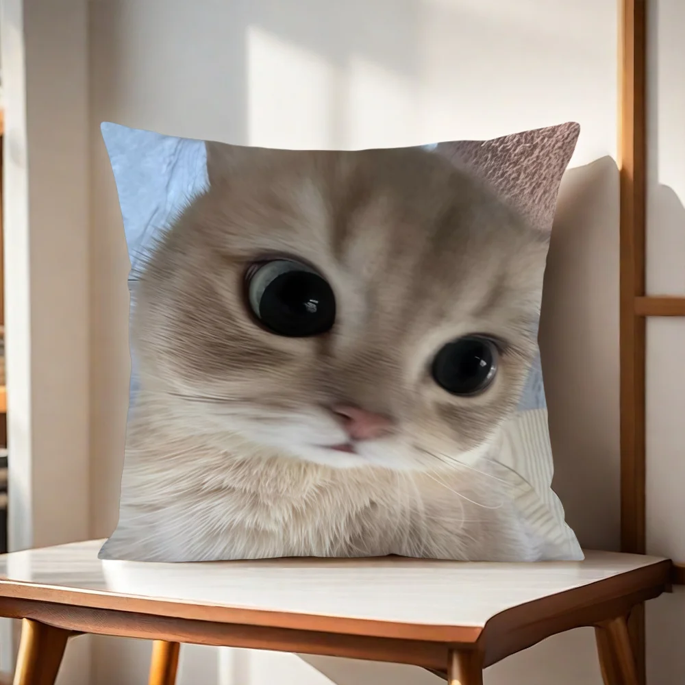 A Cute Cat With Big Eyes Up Close Cushion Cover For Pillow Printing Sofa Decoration Home Car Room Shop Office Nordic Simplicity