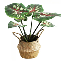 Seagrass Basket Wicker Flower Pot Rattan Planter Foldable Organizer Handmade Boho Home Decor Storage Bin with Dropshipping Now