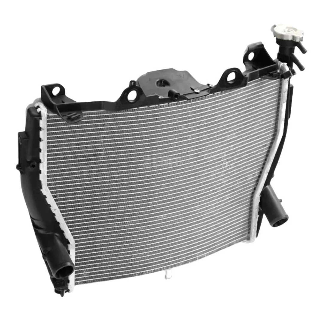 Fit For BMW S1000R S1000XR Motorcycle Aluminium Radiator Cooler Cooling S1000R 2014 - 2018 S1000 XR 2015 - 2016 2017 2018 2019