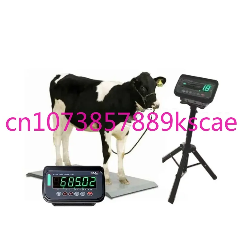 Digital Cattle Pig Weighing Scale Electronic Animal Floor Indicator 1 Ton