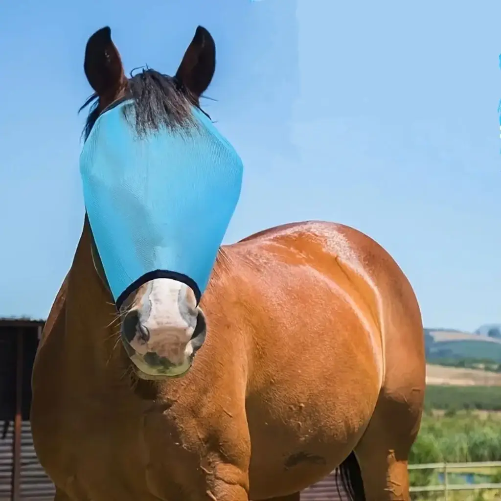 Horse Protective Gear Hook Loop Adjustable Breathable Sunshade Prevent Insects Bites Elastic Easy Wear Equestrian Supplies