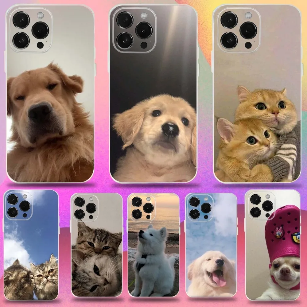 

Cute Animal Dog Cat Phone Case For iPhone 16,15,14,13,12,11 Pro,Max,Plus,X,XS,XR,SE,Mini Transparent Silicone Soft