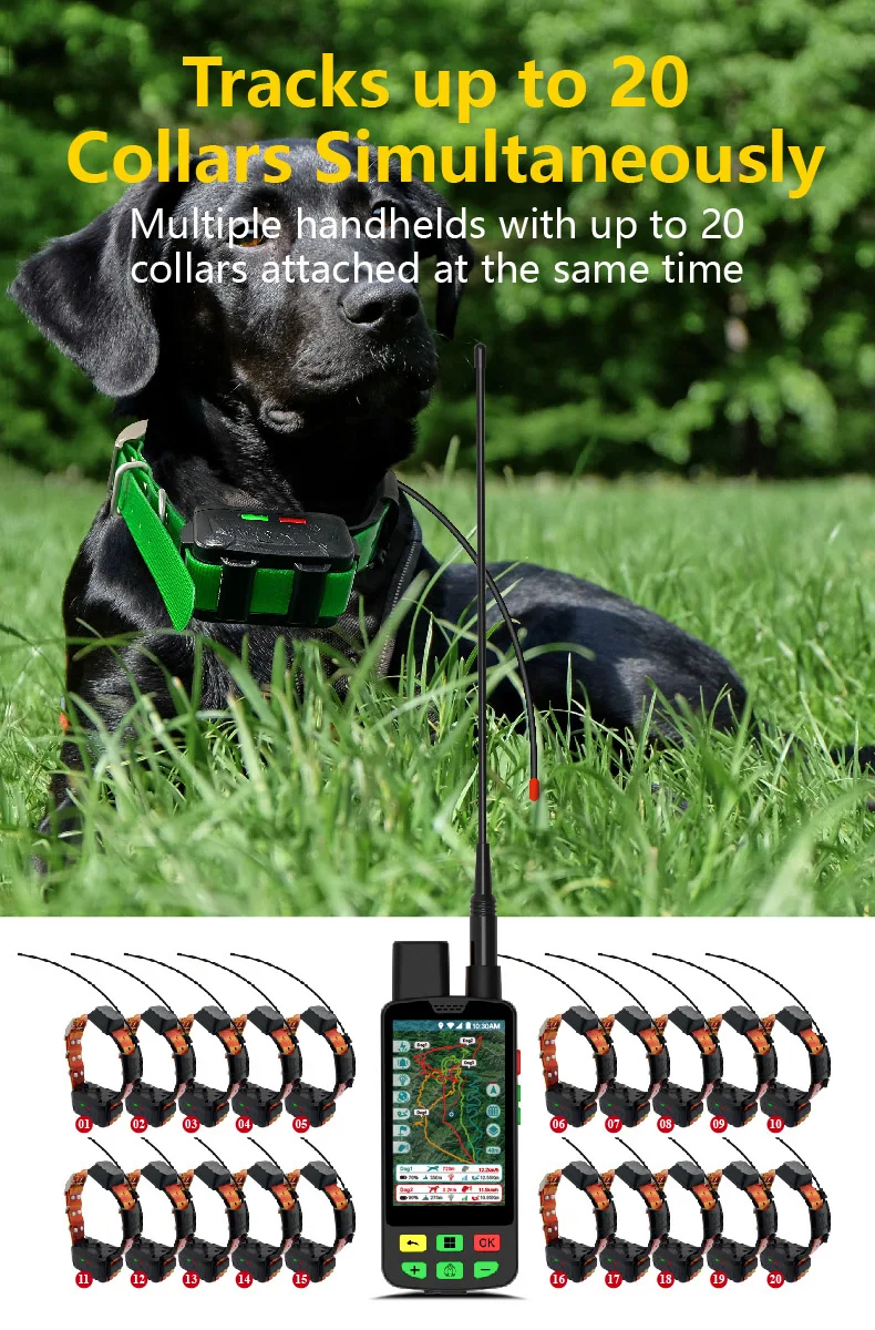 Collare per localizzazione della salute degli animali domestici all-in-one: Vital Analytics API + GNSS/VHF Dual-Mode - Prezzi all'ingrosso per rivenditori di volume