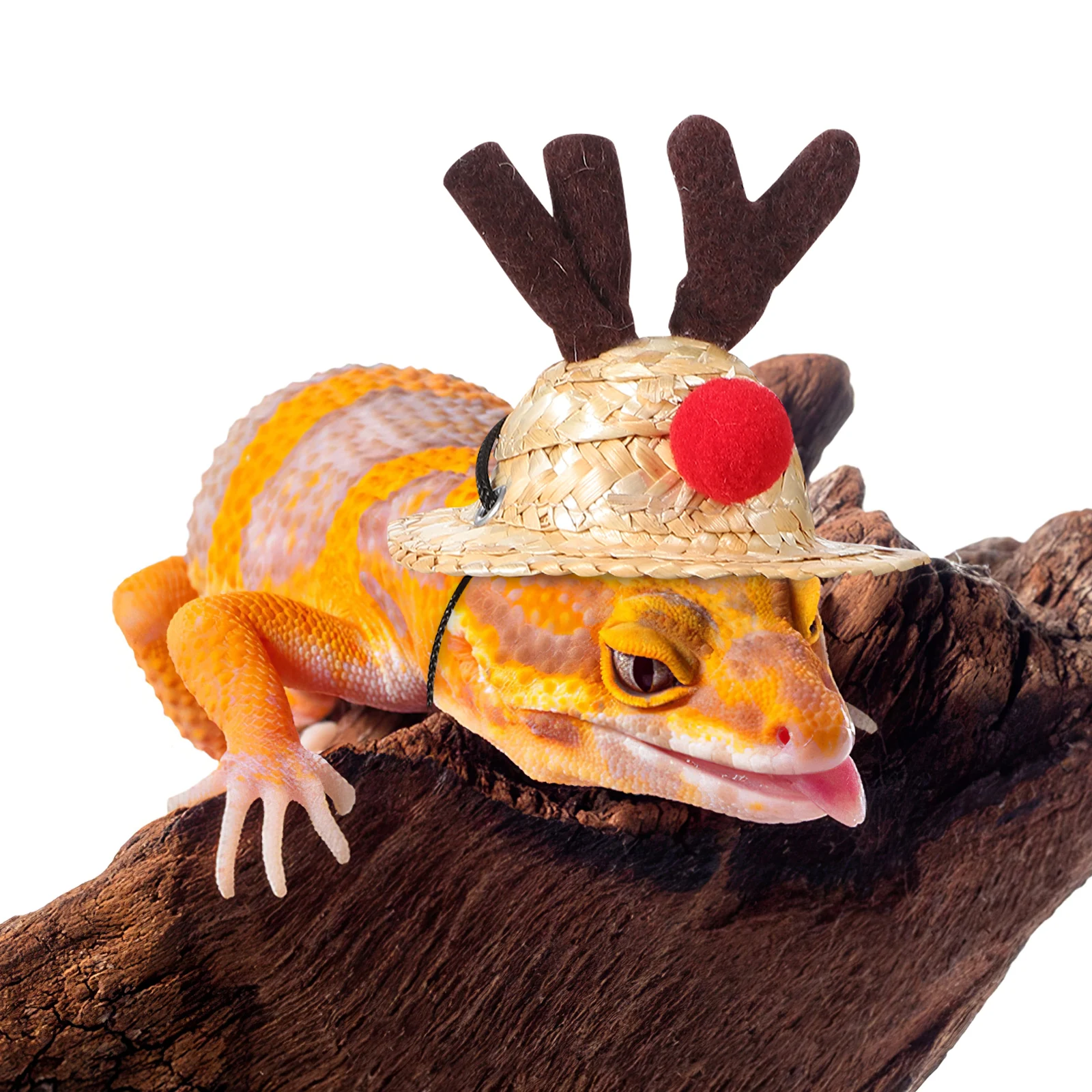 

Christmas Lizard Suit Bearded Dragon Harness Leash Adjustable Portable Reptile Hat Holiday Pet Clothing Accessories