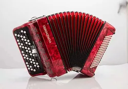 Bayan accordion instrument 60/96 bass introduction to adult children's grading performance Italian reed accordion