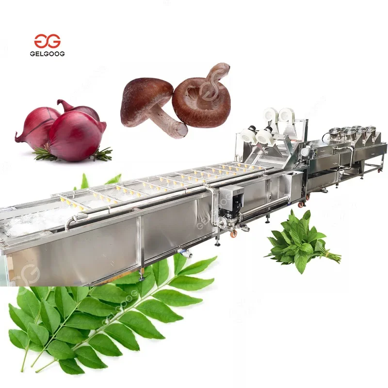 Gelgoog Onion Mushroom Cleaning Banana Leaf Curry Leaves Herb Washing Machine