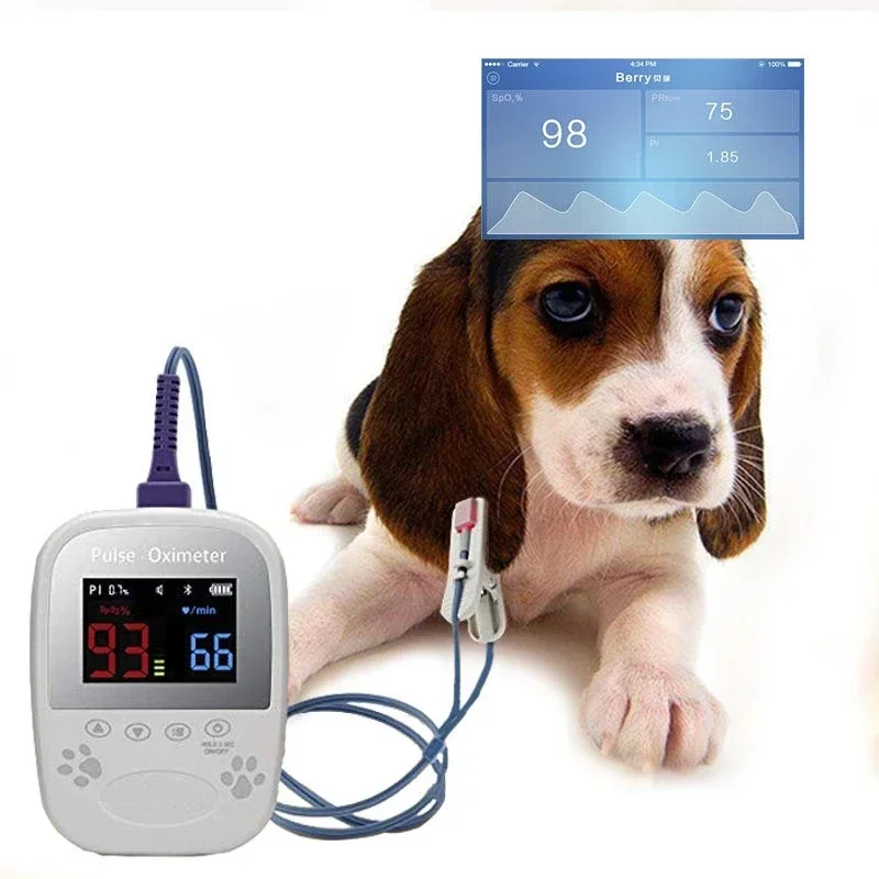 2025/Berry AM1000A Automatic Portable Handheld Palm Small animal Spo2 And Pulse Rate Vet Pulse Oximeter