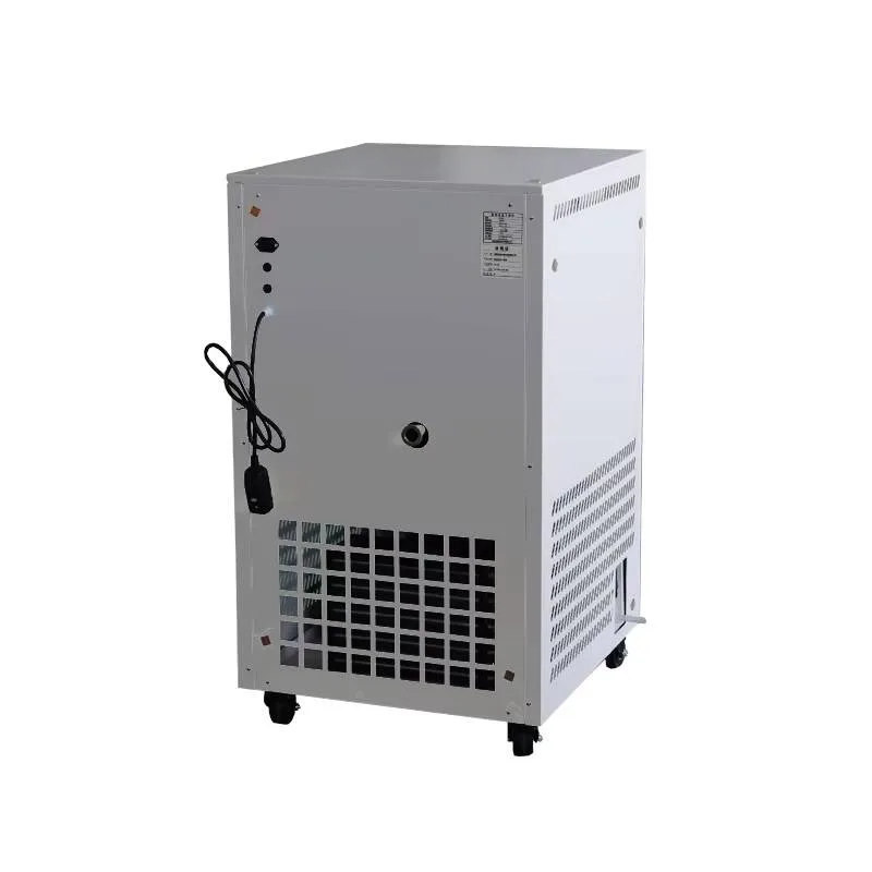 Vacuum Freeze Dryer, Household Machine For Food And Vegetables Biological Sample Lyophilizer, Pet-specific Lyophilizer