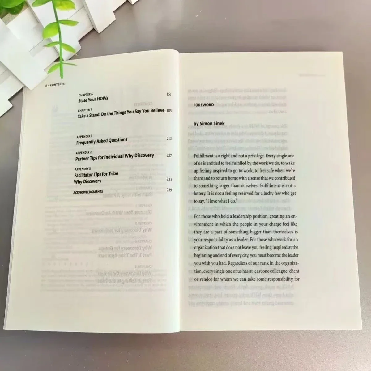 Imagem -04 - Como os Grandes Líderes Inspiram Todos a Agir Livros de Romances Econômicos e de Gestão Descubra Como-simon Sinek