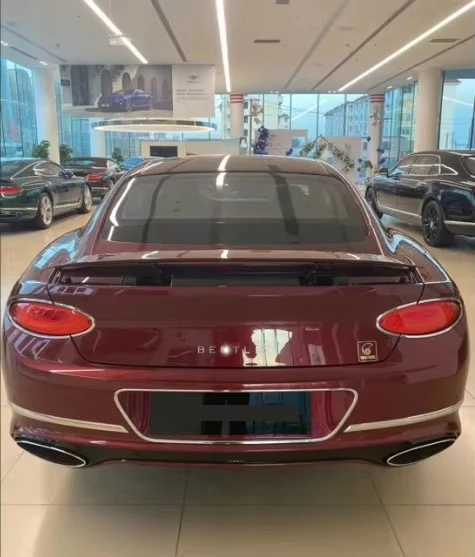 مصابيح إضاءة خلفية LED مخصصة CS 12 فولت و24 فولت لأضواء خلفية خلفية ABS جديدة من Bentley GT #5