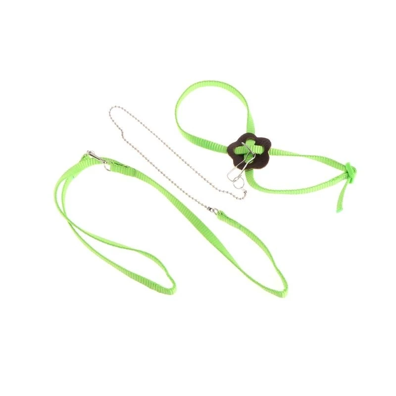 

Bird Harness 3.94 Ft Leash Adjustable Training Rope for Small Birds Parrots top sale