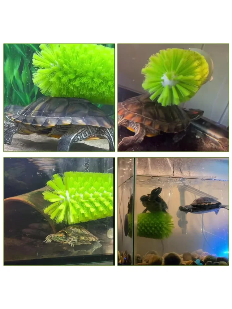 Scrubber Turtle Shell Cleaning Brush Cleanser Brace Small Animal Plastic Aquatic Tortoise