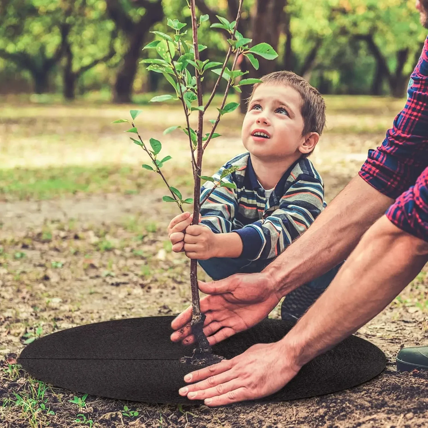 10 عبوات من حلقات غطاء شجرة من القماش غير المنسوج، وسادة حماية شجرة قابلة للتحلل البيولوجي، حاجز أعشاب قابل لإعادة الاستخدام للتحكم في الأعشاب والجذر الاحترافي