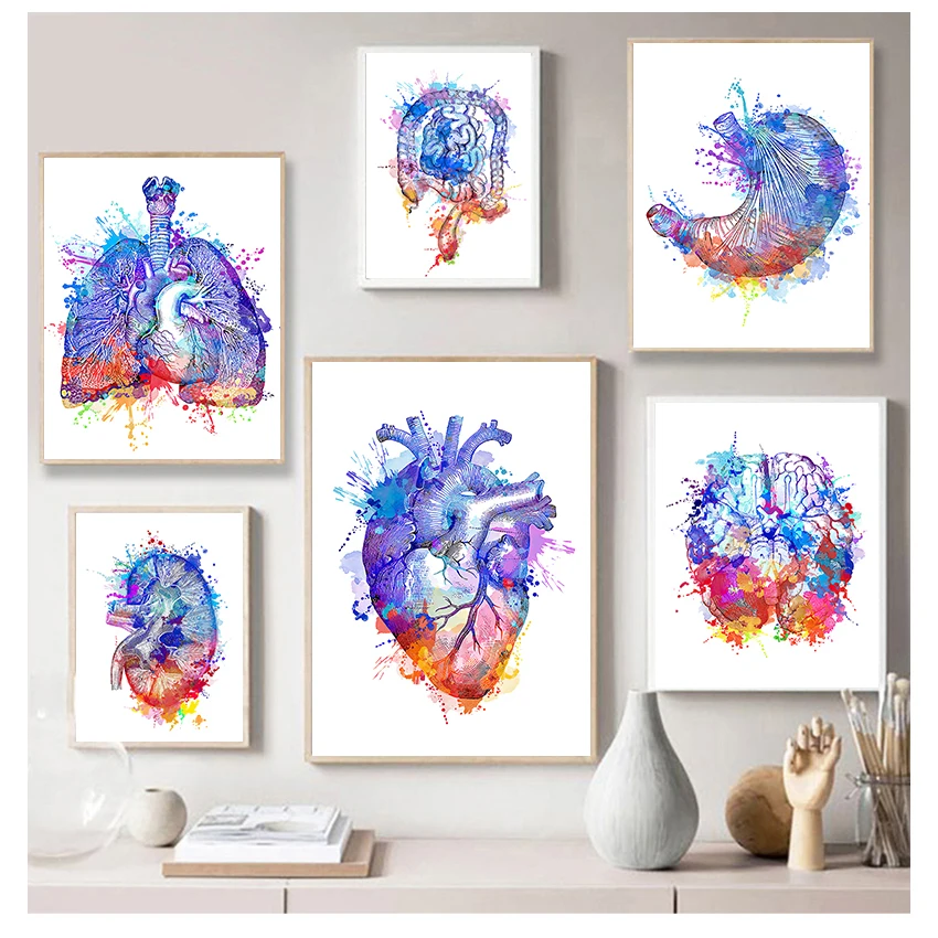 Breast Wall Art Canvas Painting Nordic Posters And Prints Wall Pictures Doctors Office Decor Colorful Anatomy Brain Heart kidney