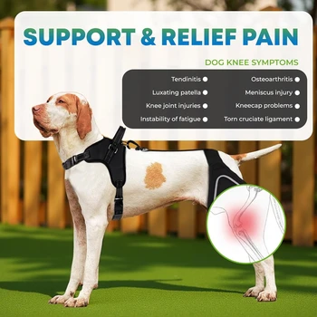 Adjustable Dog Hind Leg Brace 2