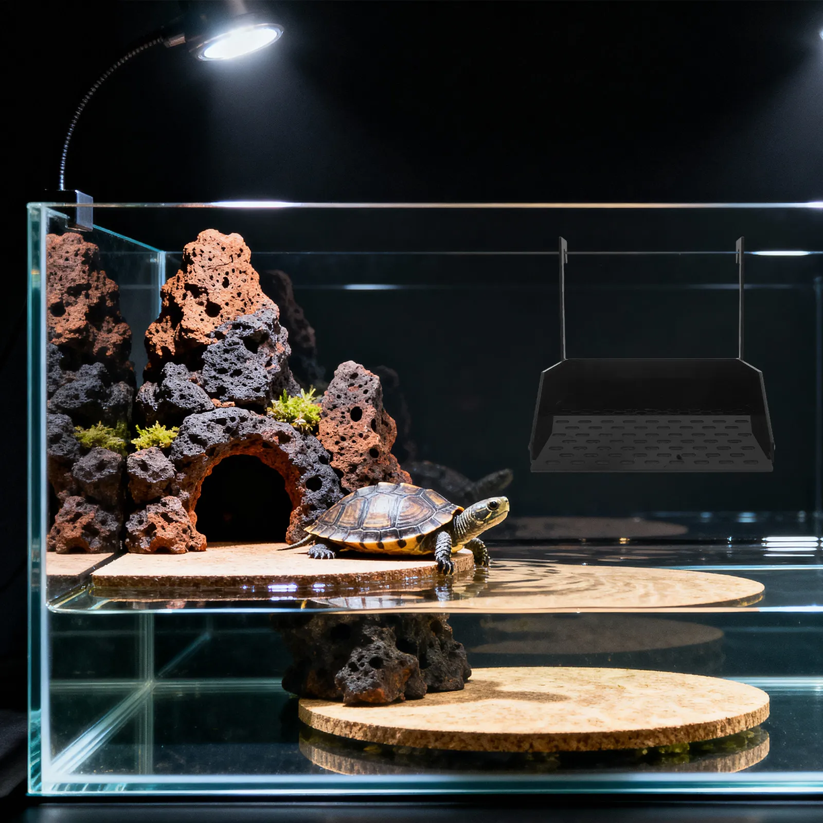 Gallery image 2
