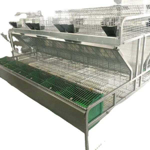 

Automatic Animal Cages Commercial Rabbit Cages Chicken Cages Farms Hot Product