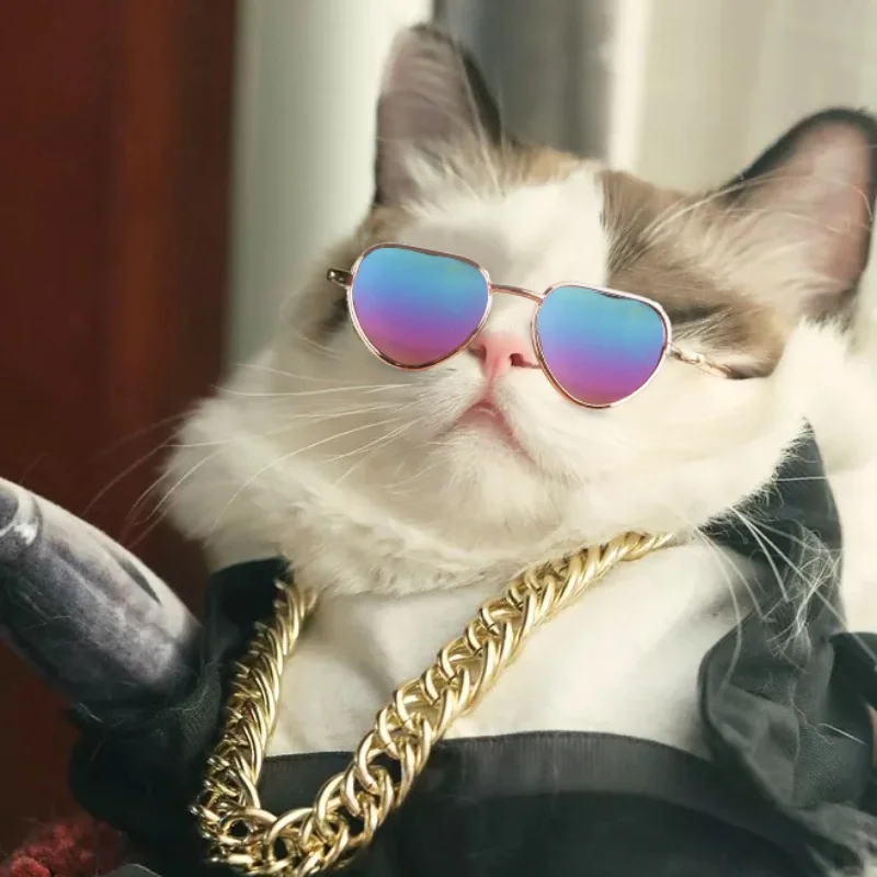 Rutschfeste Sonnenbrille für Katzen & Kleine Hunde Haustier-Zubehör Welpen-Kätzchen-Cosplay-Kostüm Niedliche Tier-Brillen Foto-Requisiten – Detail 10