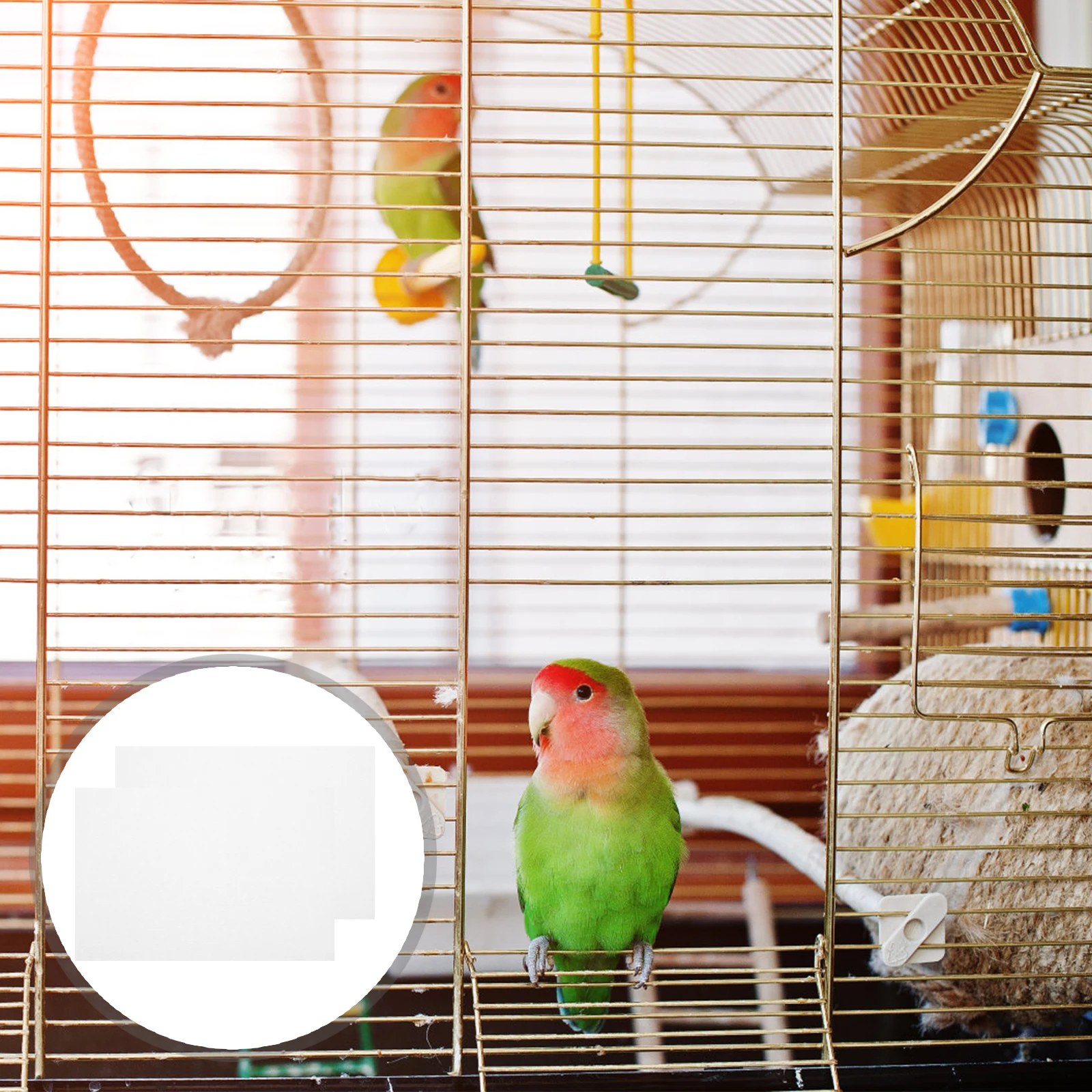 

100 Pcs Pet Supplies Water Absorption Tray Bird Cage Liner Paper Birdcage Mat Disposable