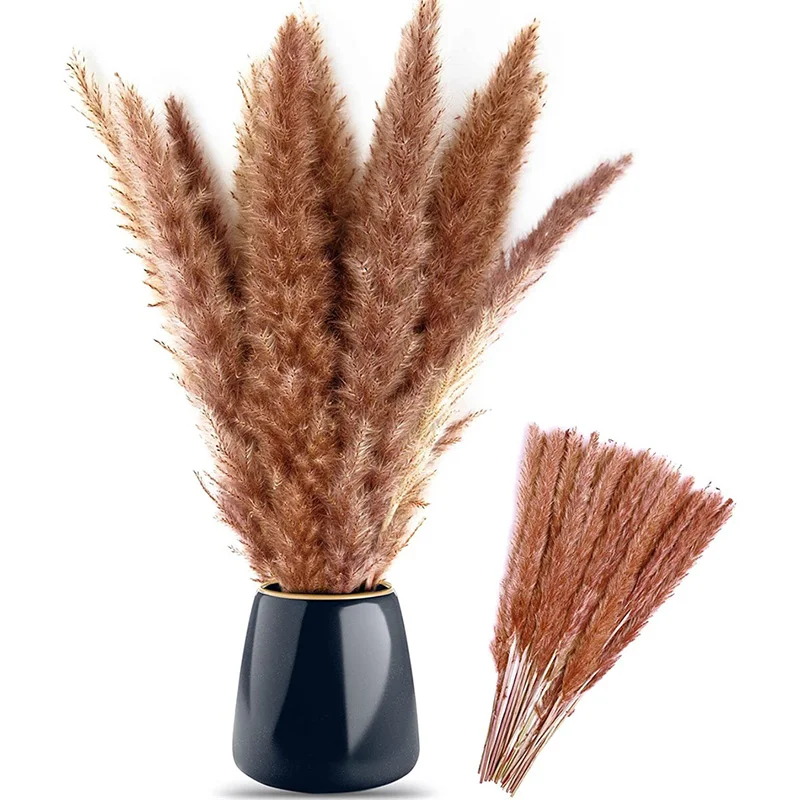 

Natural Dried Pampas Grass Bonquet 30 Pcs, Boho Home Decor Bouquet, Dried Flowers for Wedding Floral Arrangements Bathroom Decor