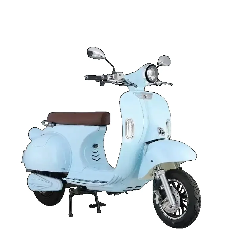 

2025 New Style Electric Bike With 1000W Brushless Motor Long Range Lithium Battery Shock Absorber Dual Brake System For Commutin