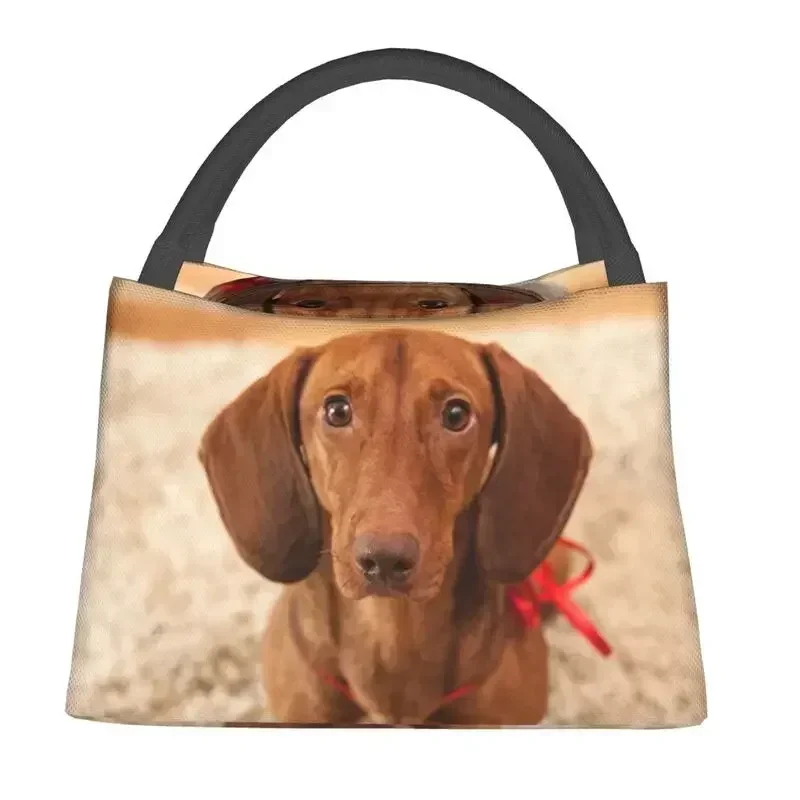 Cute Dachshund Dog Thermal Insulated Lunch Bag Women Sausage Lunch Container for Outdoor Camping Travel Storage Meal Food Box