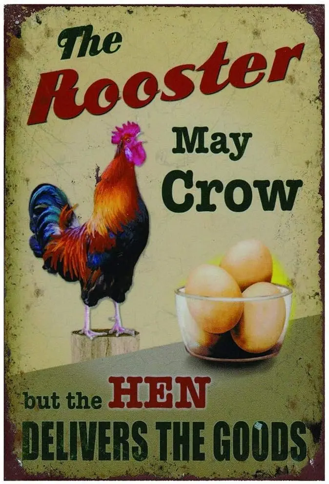 Sylty Metal Signs The Rooster May Crow but The Hen Delivers The Goods Retro Vintage Chic Style Decorative Old Metal Signs f