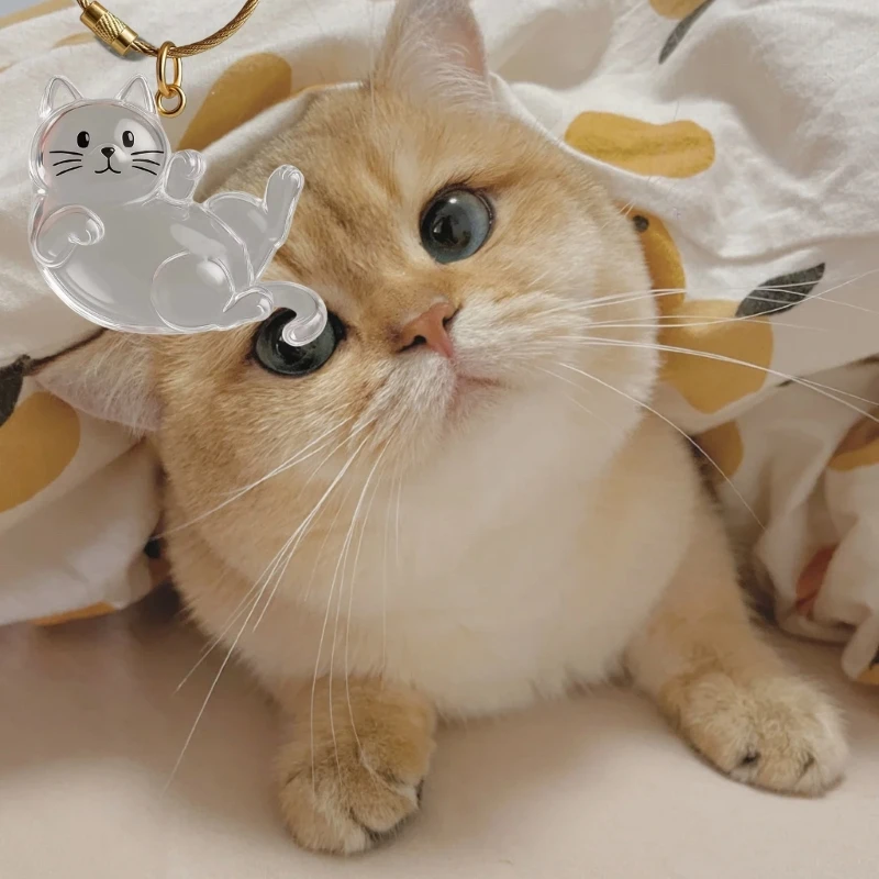 1 قطعة مجمع شعر الحيوانات الأليفة التذكاري قلادة معلقة لحقيبة اليد تحمل على طول حاوية تخزين شعر القطط #3