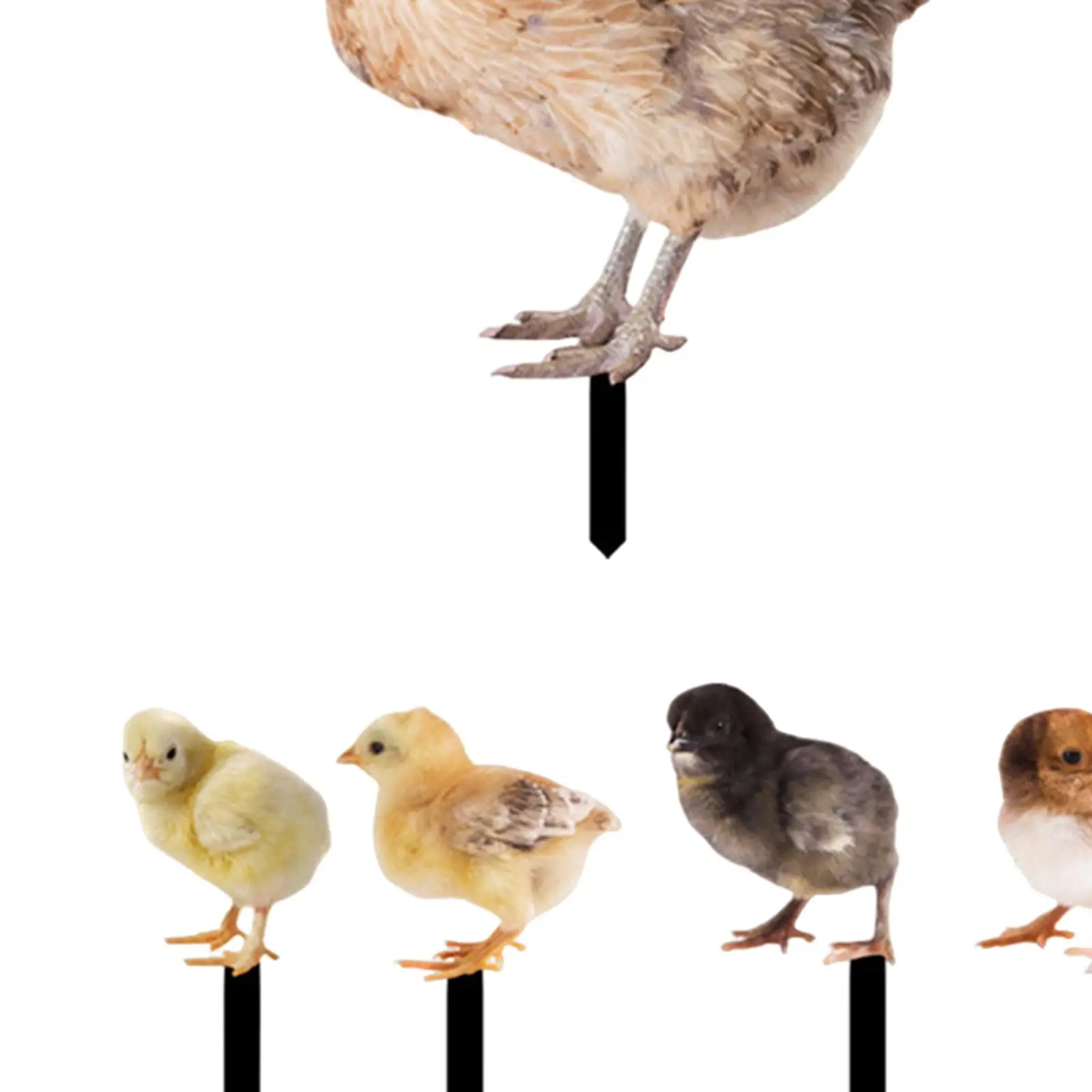 5 Pcs Set Hen Yard Stake Decorative Easter Decor Weatherproof Animal Statue Stakes for Farm Outdoor Patio Lawn Yard Backyard